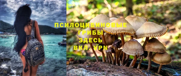 прущая мука Каменногорск