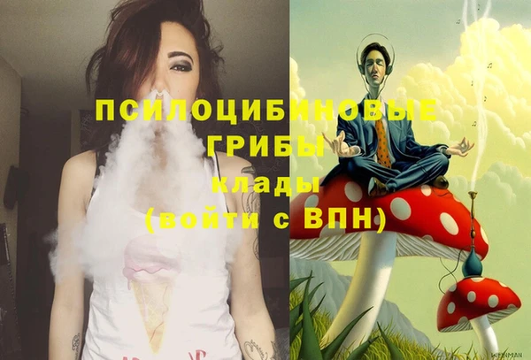 героин Инсар