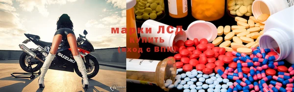 прущая мука Каменногорск