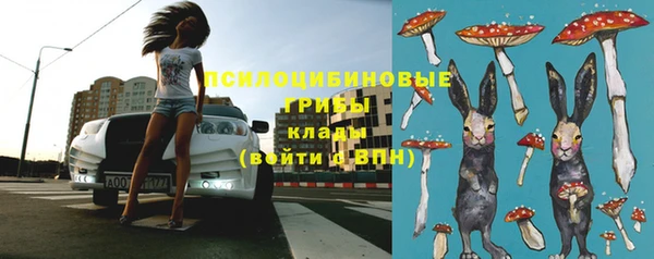 COCAINE Каменск-Шахтинский