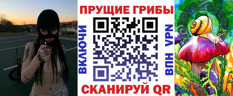 Галлюциногенные грибы мицелий  Кириллов 